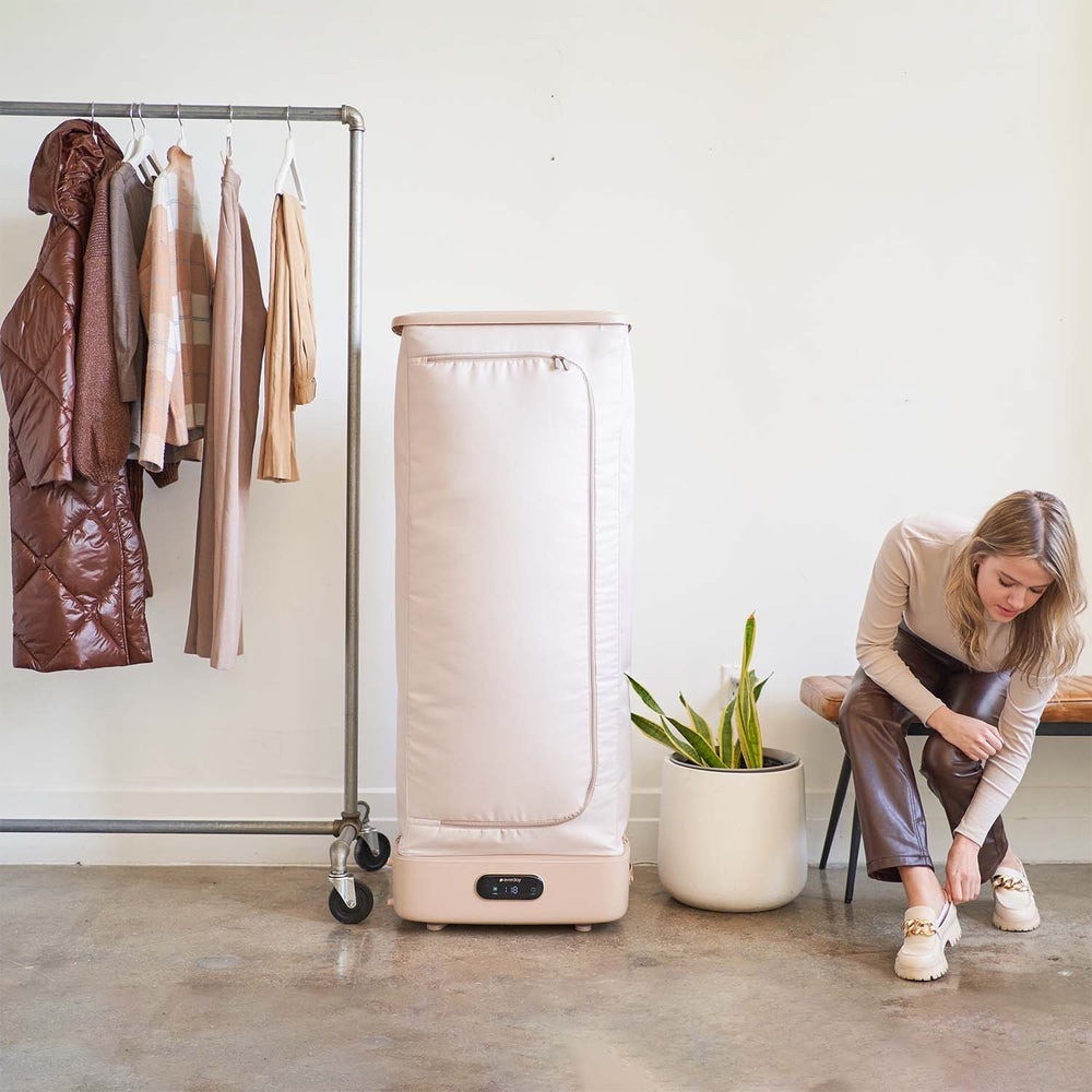 Everday Portable Clothing Steamer Closet